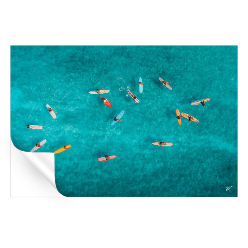 Cruisin Walks Cool Wall Art by Jess Loiterton