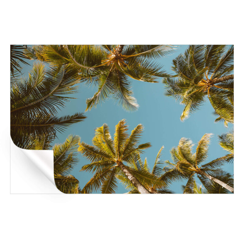 Palm Party Cool Wall Art by Jess Loiterton