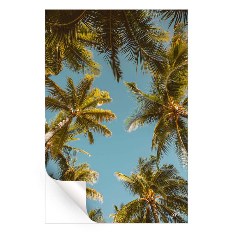 Palm Tree Sky Cool Wall Art by Jess Loiterton