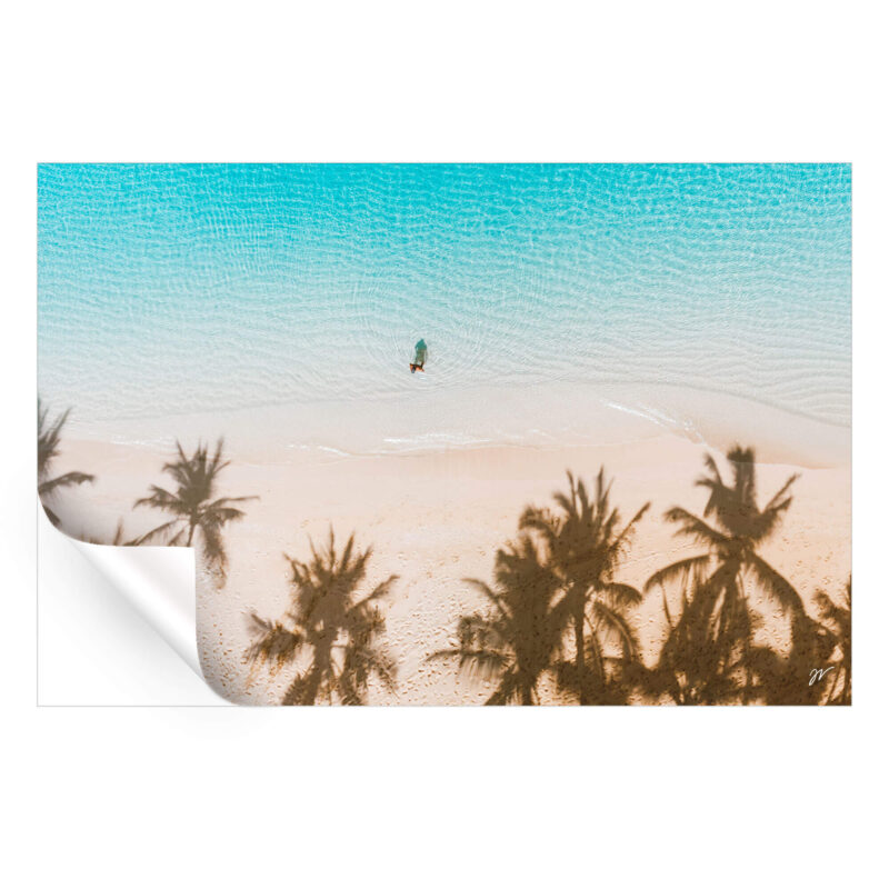 Palmy Days Cool Wall Art by Jess Loiterton