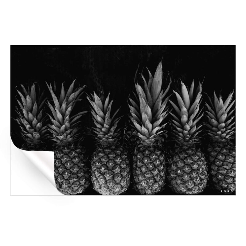 Pineapple Express Black and White Wall Art by Nick Ford