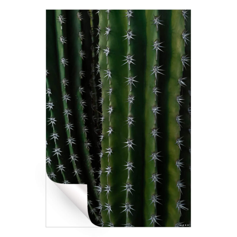 Can't Touch This Dark Wall Art by Nick Ford