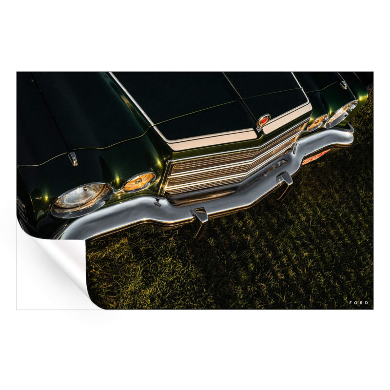 On the Green Green Wall Art by Nick Ford