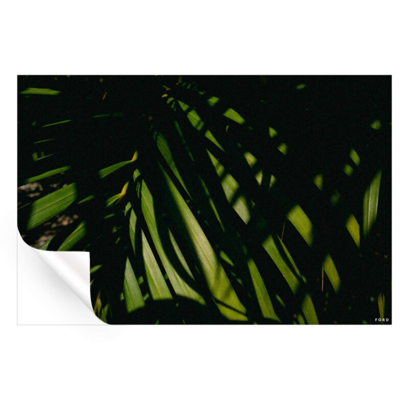 God's Plan Green Wall Art by Nick Ford