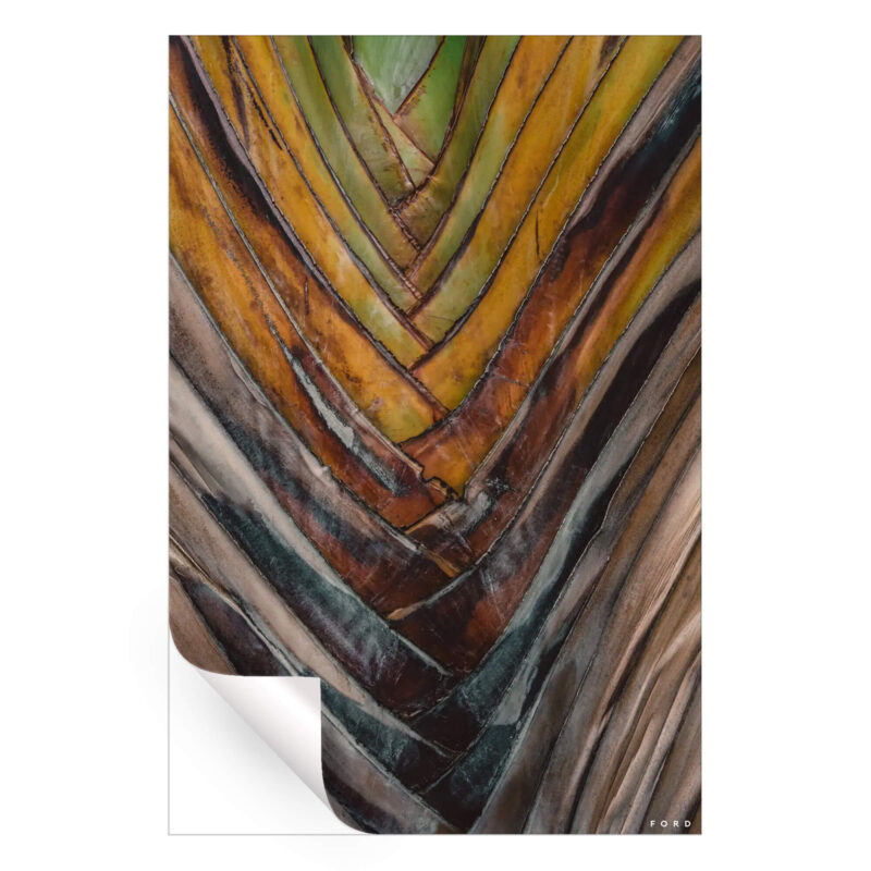 Layers of Life Neutral Wall Art by Nick Ford