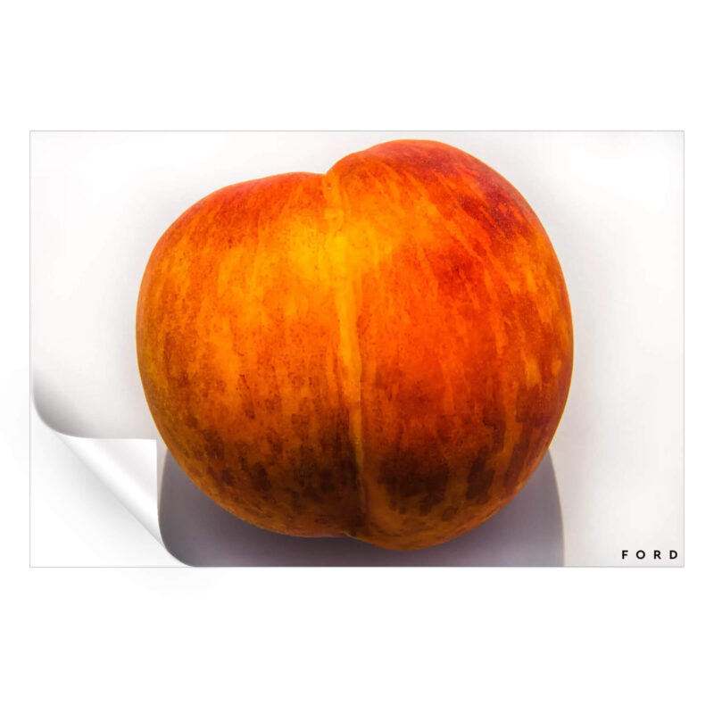 Peaches 'n Cream Orange Wall Art by Nick Ford