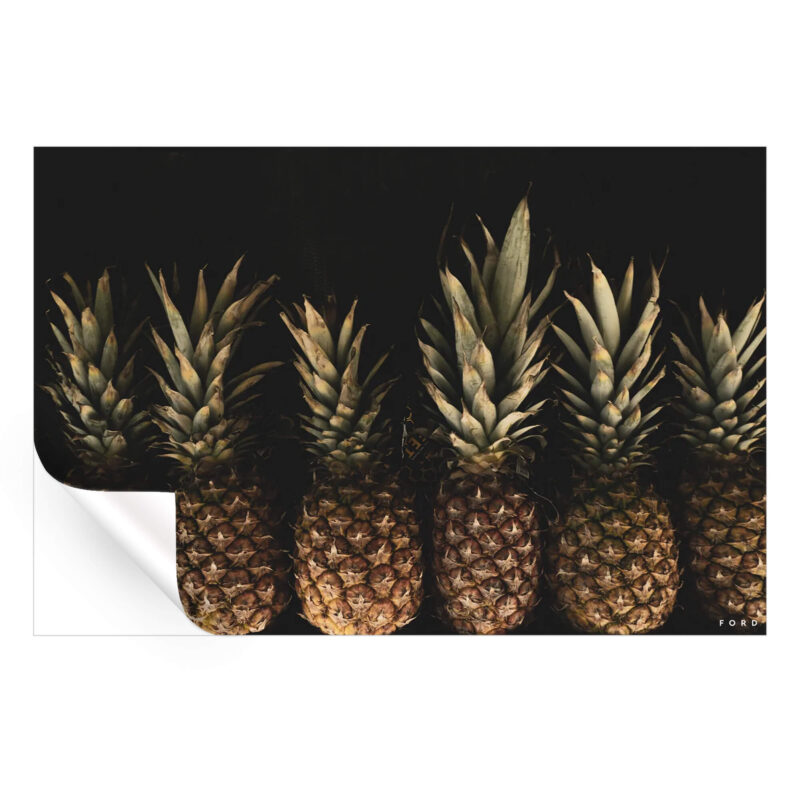 Pineapple Express II Dark Wall Art by Nick Ford