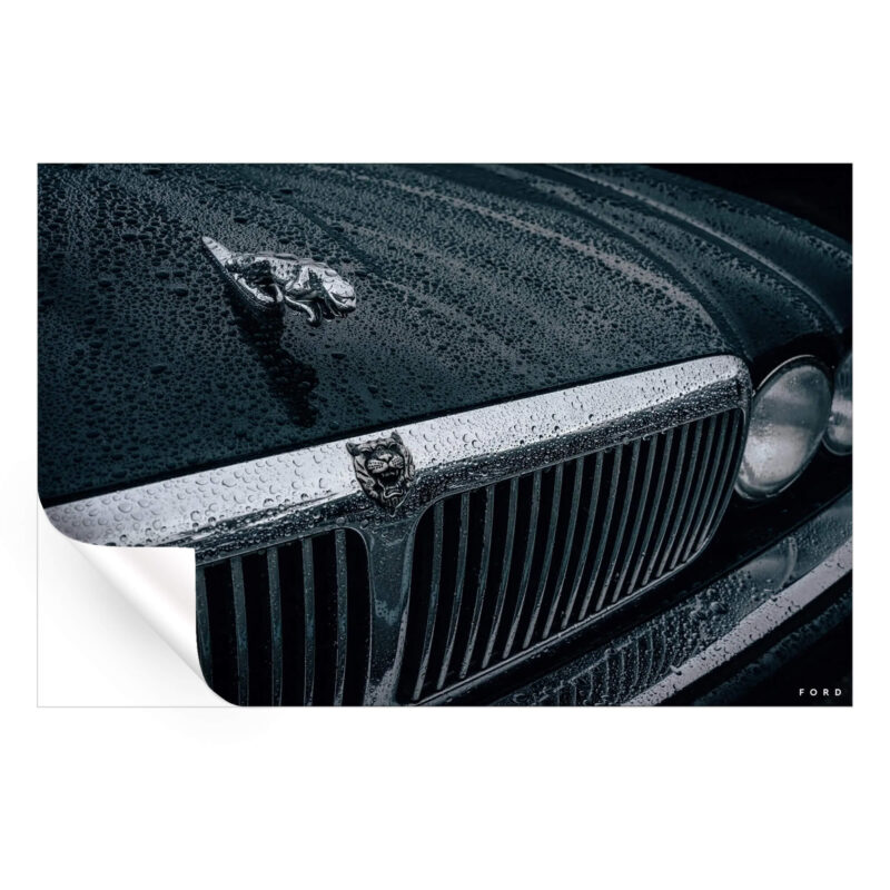 Mick Jaguar Dark Wall Art by Nick Ford