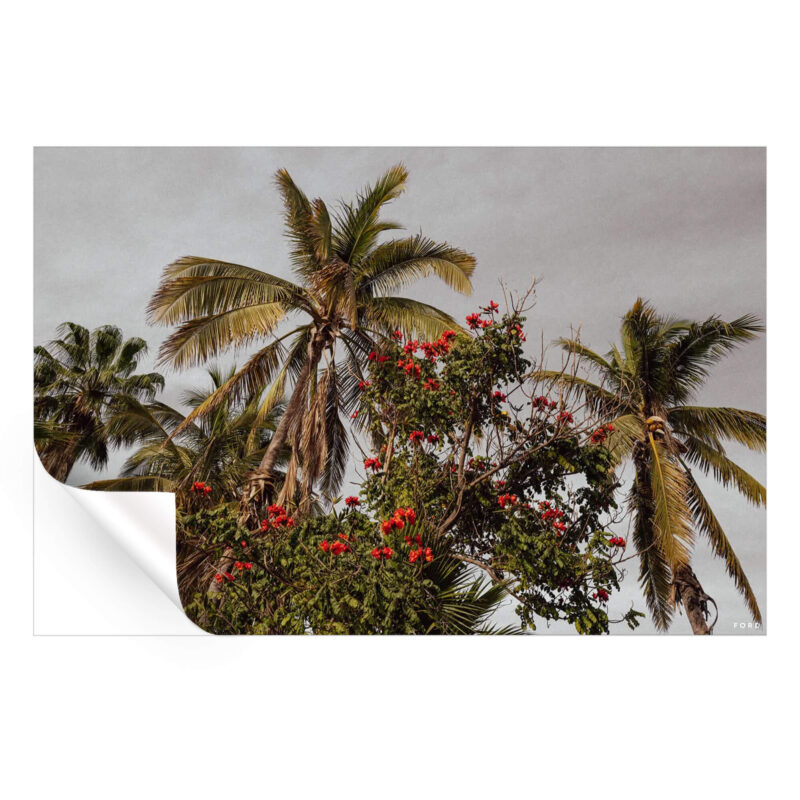 One Day in Mexico Green Wall Art by Nick Ford