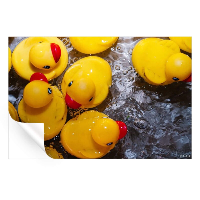 You're the One Yellow Wall Art by Nick Ford