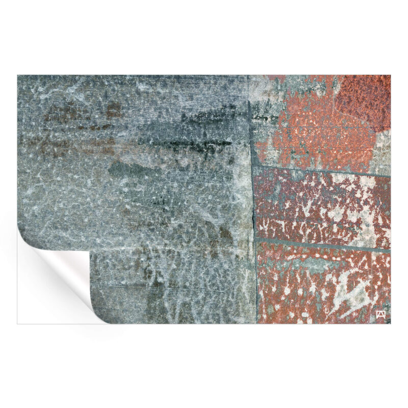 Elegance Wall Art by Jared Hankins