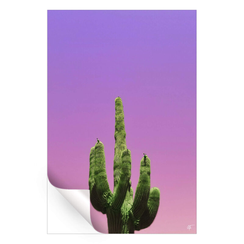 Cactus Vibrant Wall Art by Arytron