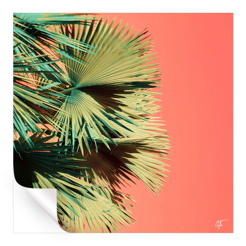 Growth v3 Vibrant Wall Art by Arytron