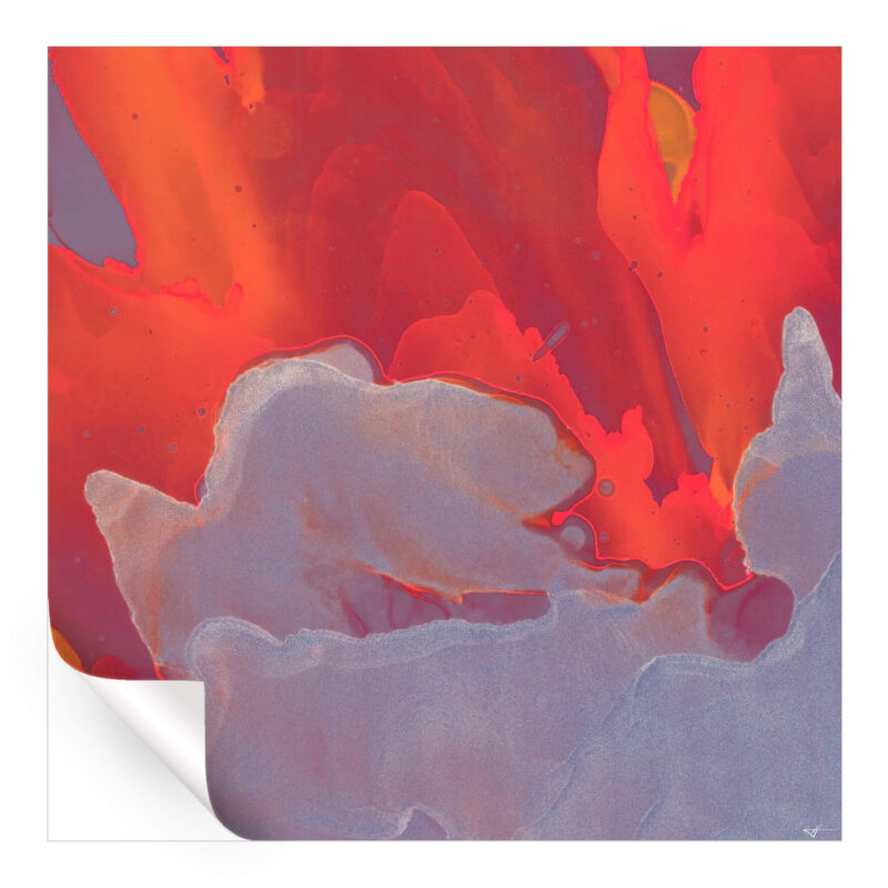 Red Burst Warm Wall Art by Jared Hankins