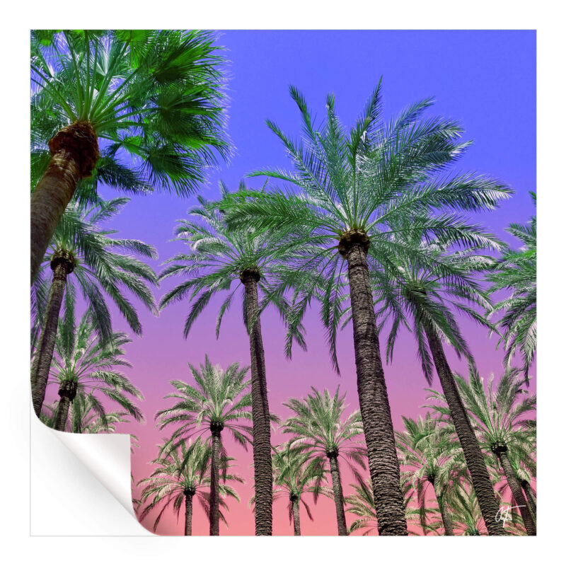 Desert Sun Vibrant Wall Art by Arytron