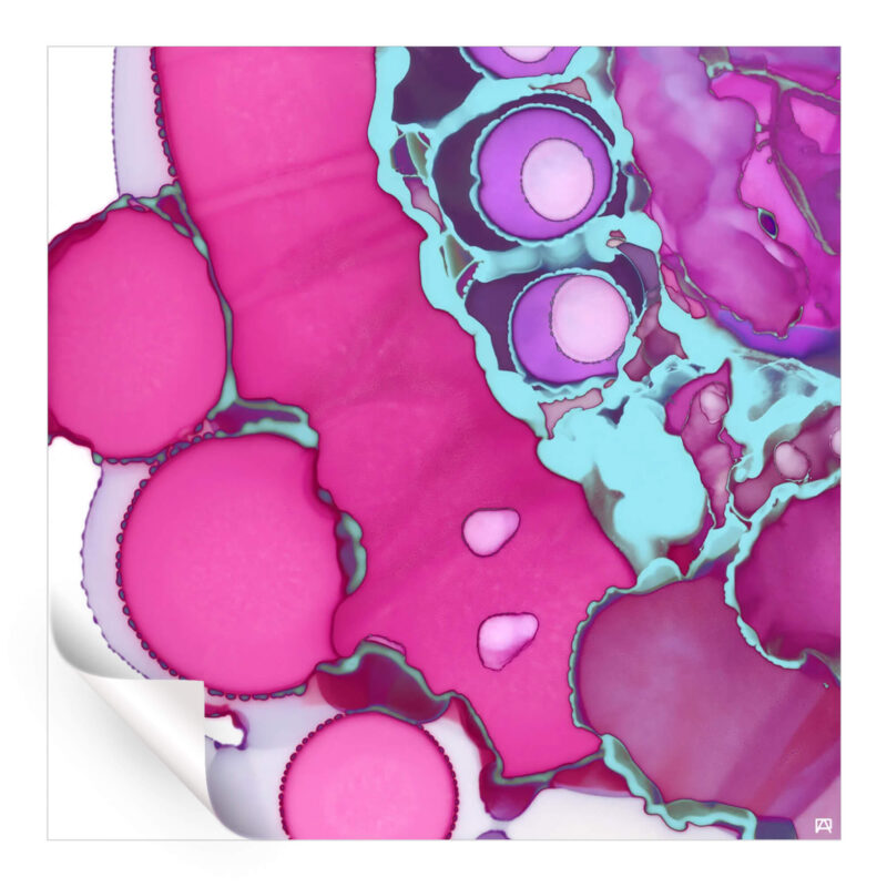 Flora Pink Purple Wall Art by Jared Hankins