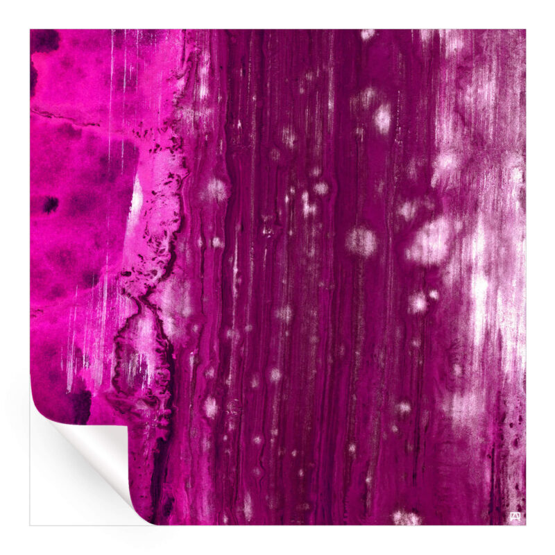 Pinky Pink Wall Art by Jared Hankins