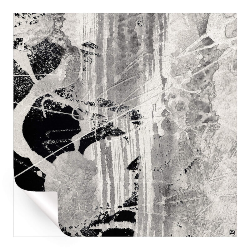 Wild Strokes Black and White Wall Art by Jared Hankins