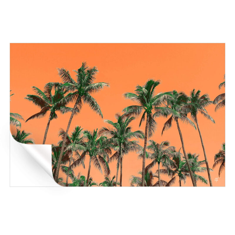 Idyllic Orange Wall Art by Arytron