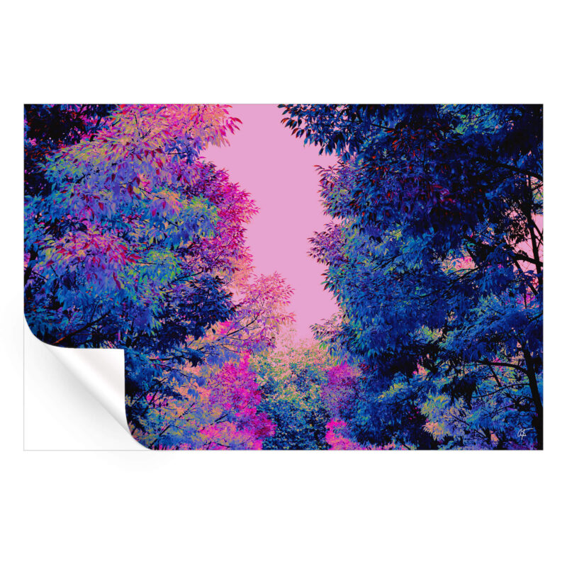 Tropical Dreaming Vibrant Wall Art by Arytron