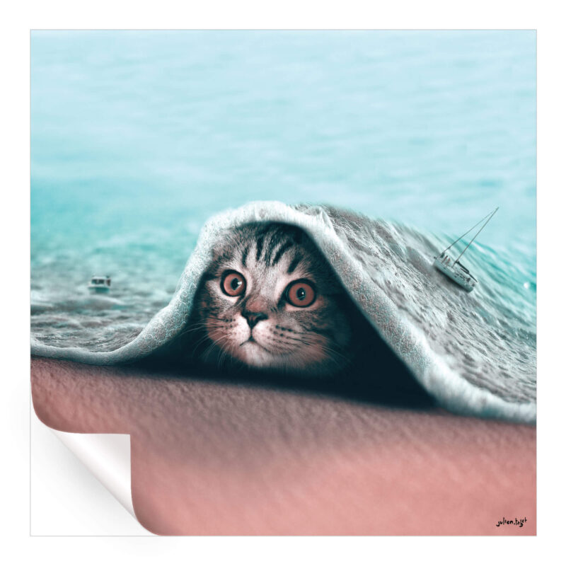 Hidden Cool Wall Art by Julien Tabet