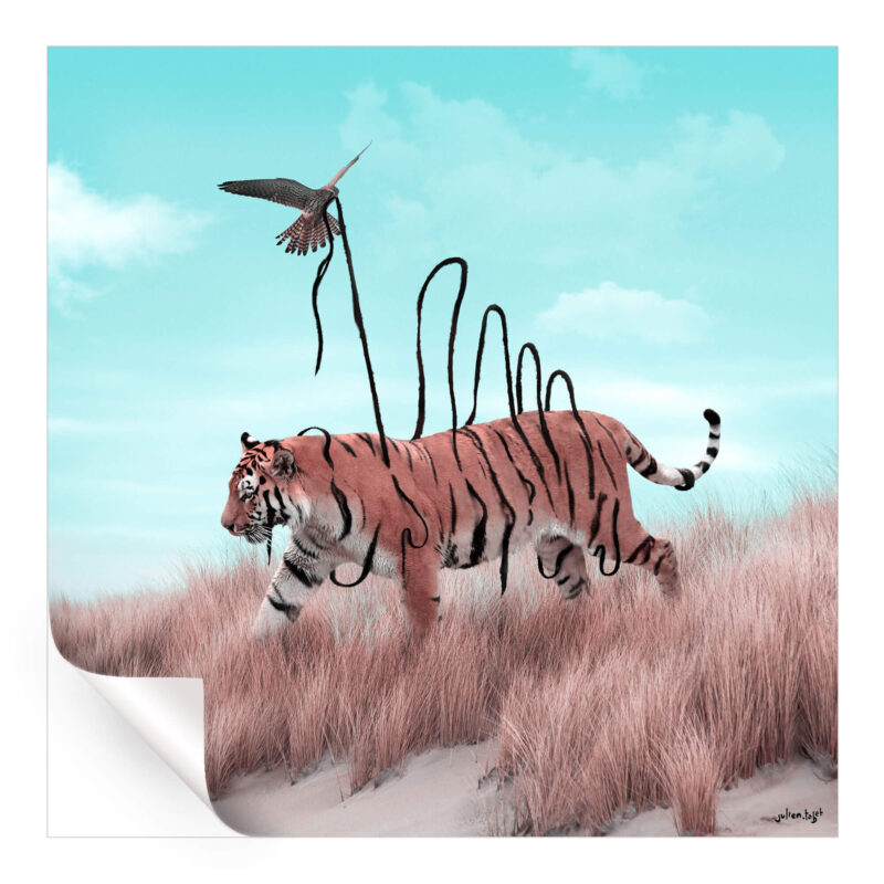 Dexterity Cool Wall Art by Julien Tabet