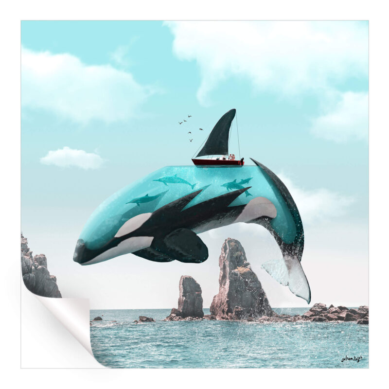 Aqua Orca Cool Wall Art by Julien Tabet