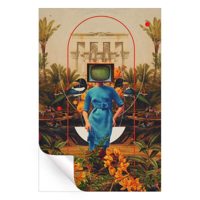 Her Asymmetries Warm Wall Art by Frank Moth