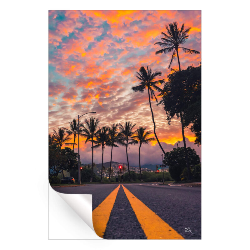 Palm Skies Warm Wall Art by Deston Isas
