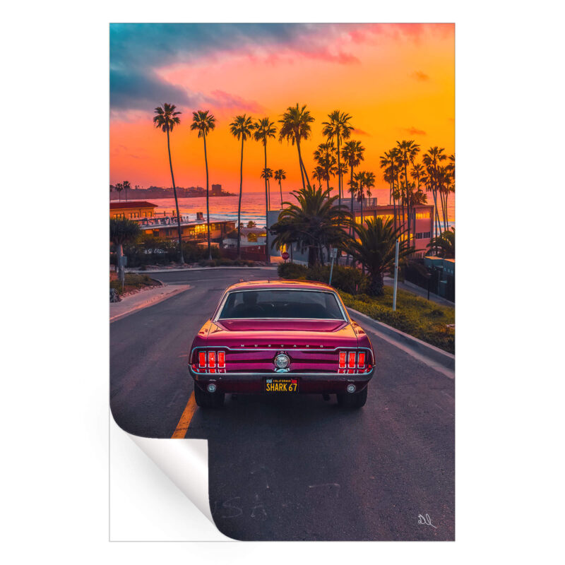 Shark 67 Warm Wall Art by Deston Isas