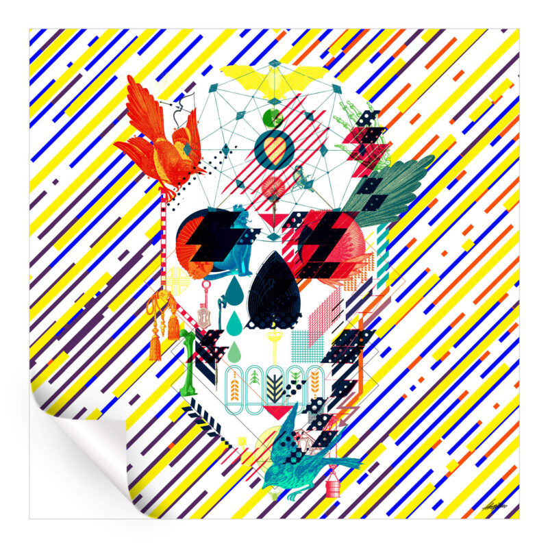 Abstract Skull Wall Art by Ali Gulec