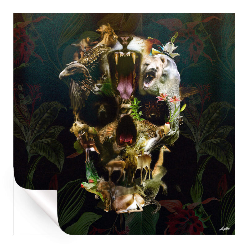 Kingdom Skull Dark Wall Art by Ali Gulec