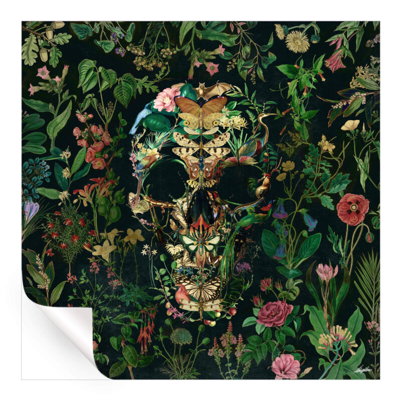 Papilion Skull Dark Wall Art by Ali Gulec