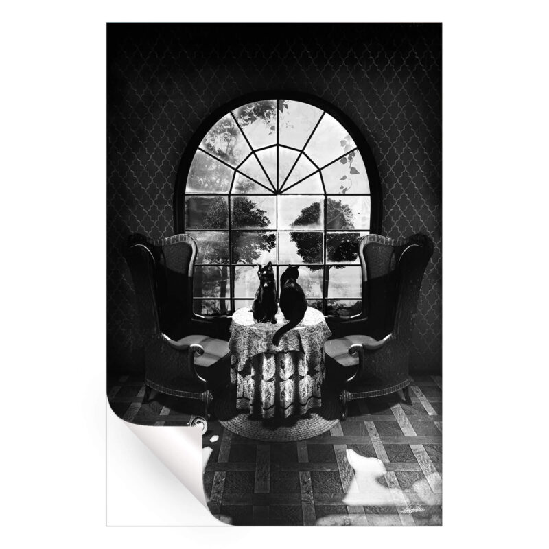 Victorian Room Skull Black and White Wall Art by Ali Gulec
