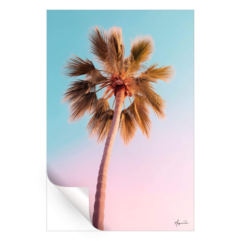 The Pastel Palm Pastel Wall Art by Philippe HUGONNARD