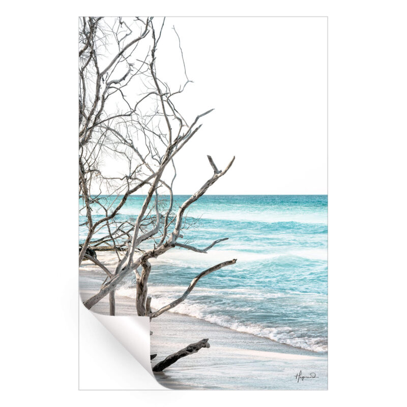 The Wild Beach Wall Art by Philippe HUGONNARD