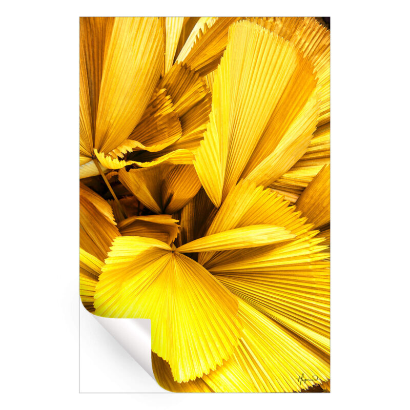 Yellow Palm Leaves Yellow Wall Art by Philippe HUGONNARD