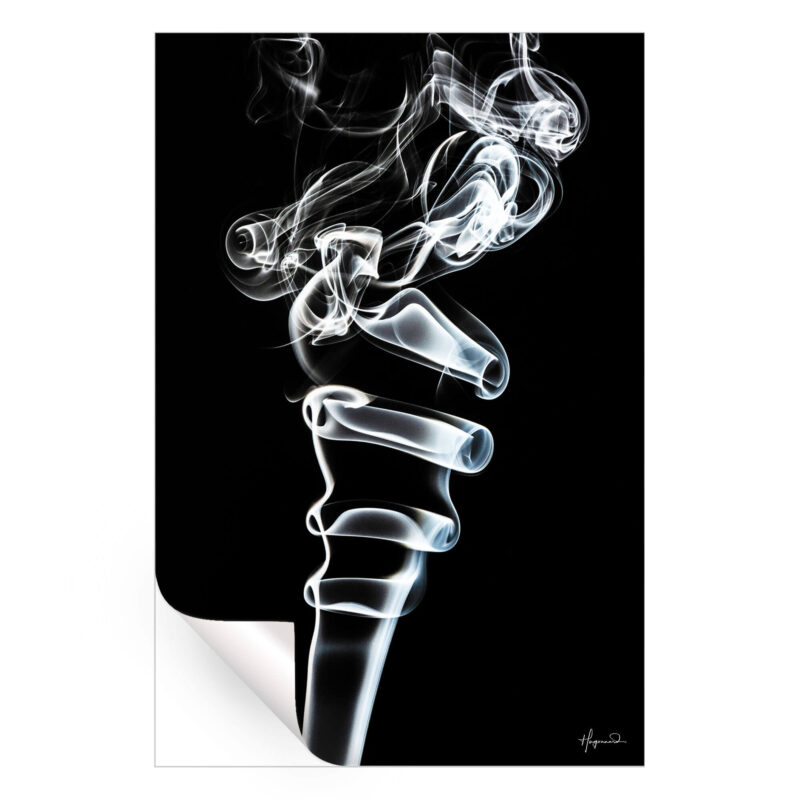 Ice Cream Black and White Wall Art by Philippe HUGONNARD