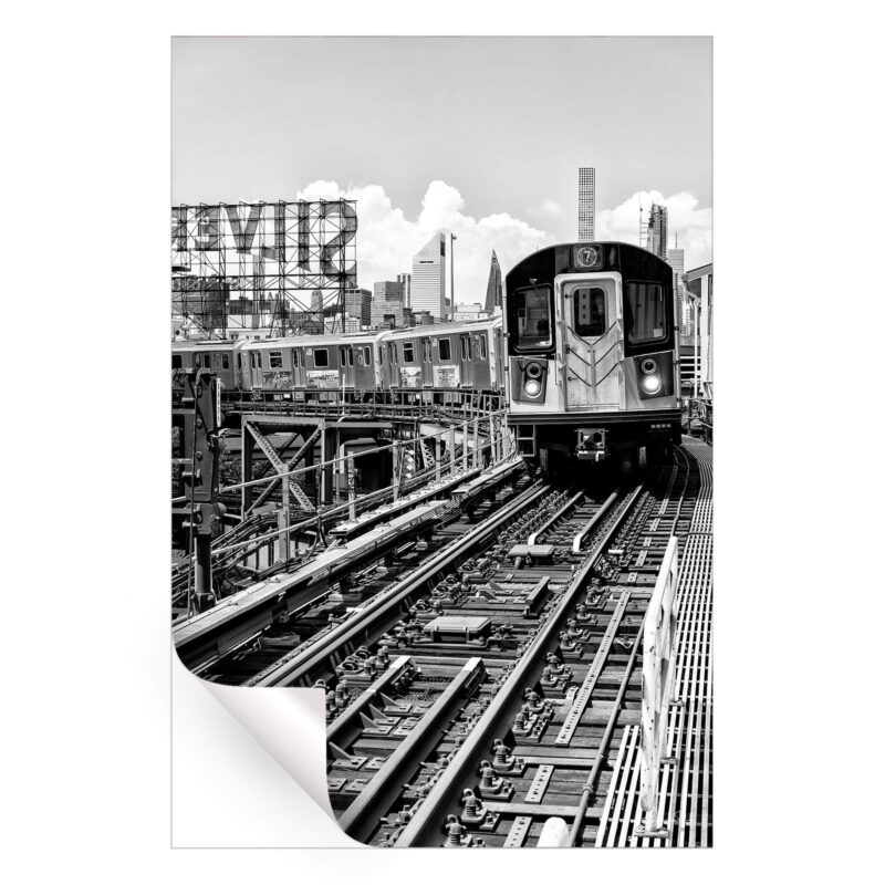 Line 7 Queens Black and White Wall Art by Philippe HUGONNARD