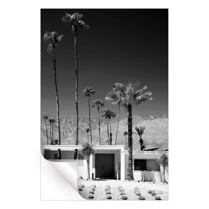 Palm Springs Midcentury Modern Black and White Wall Art by Philippe HUGONNARD