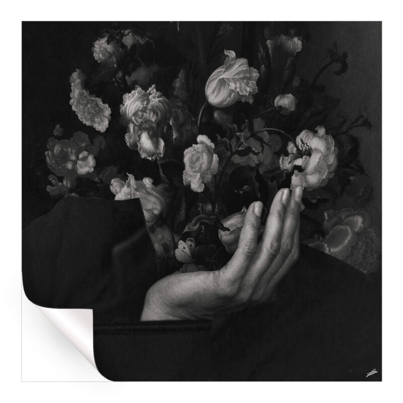 In Bloom II Black and White Wall Art by Fran Rodríguez