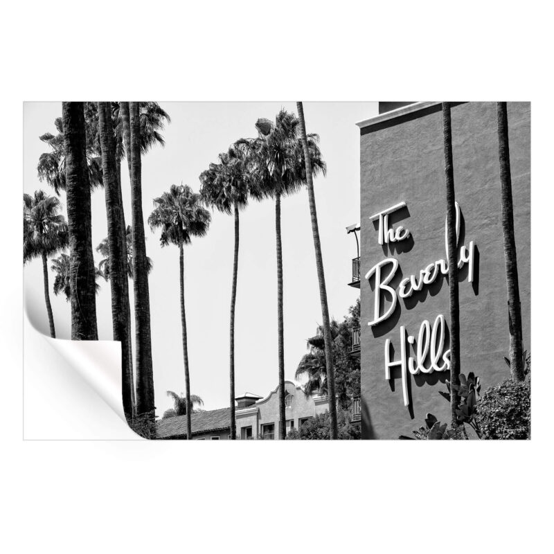 The Beverly Hills Hotel Black and White Wall Art by Philippe HUGONNARD