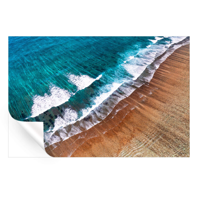 Coral Reef Beach Wall Art by Philippe HUGONNARD