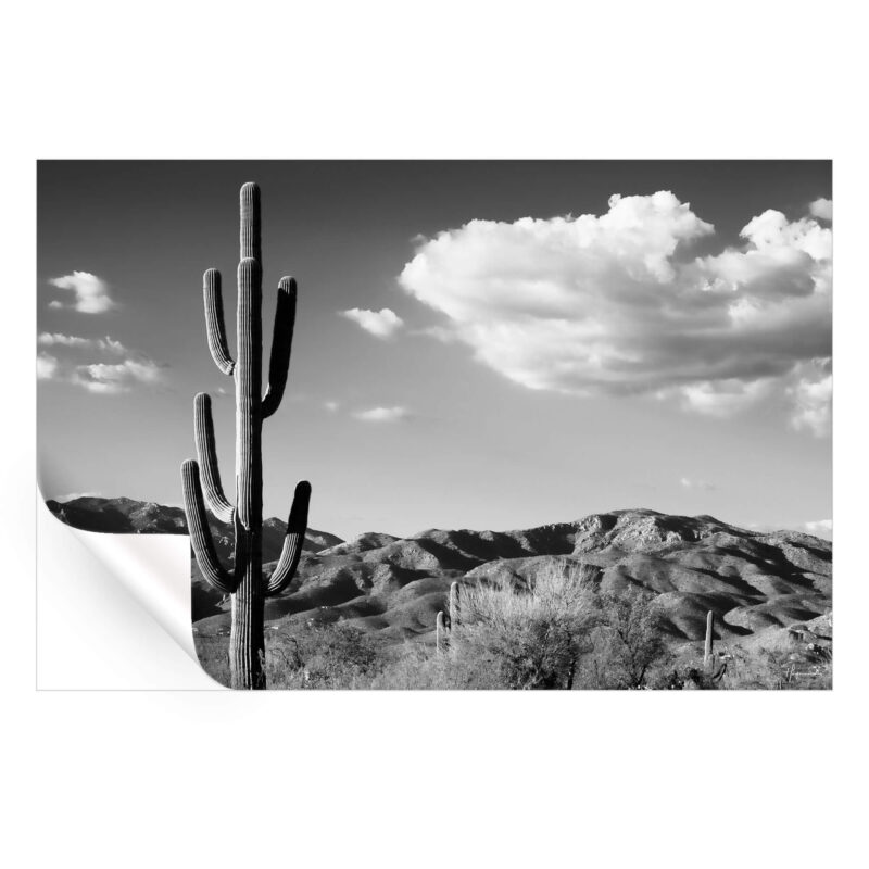 Saguaro Cactus Sunrise Black and White Wall Art by Philippe HUGONNARD