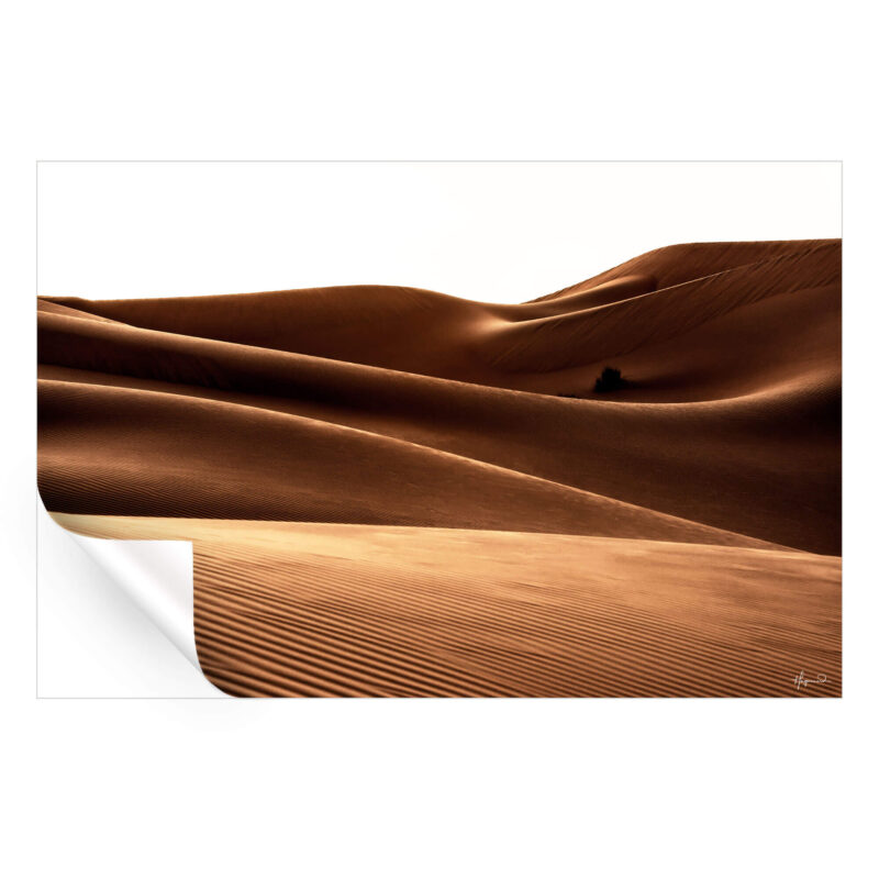 The Waves Brown Wall Art by Philippe HUGONNARD
