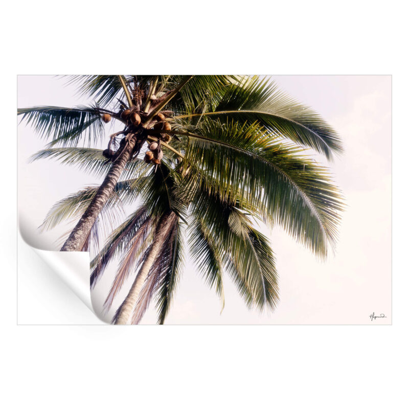 Tropical Palm Trees Wall Art by Philippe HUGONNARD