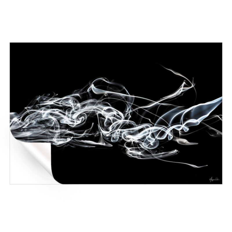 White Smoke Black and White Wall Art by Philippe HUGONNARD