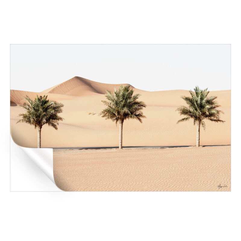 Desert Palm Trees Wall Art by Philippe HUGONNARD