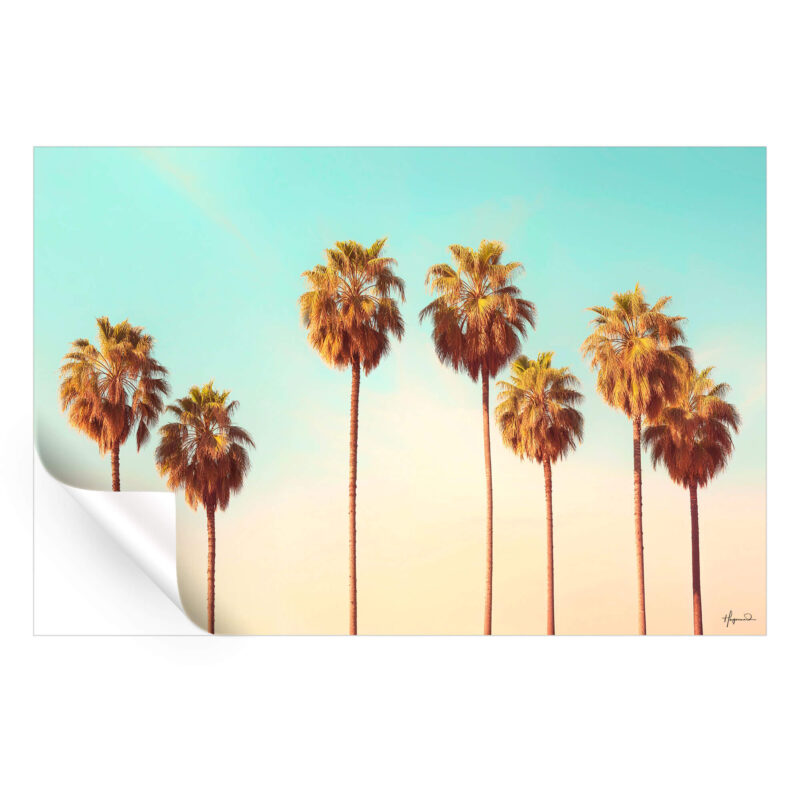 Hollywood Palms Pastel Wall Art by Philippe HUGONNARD