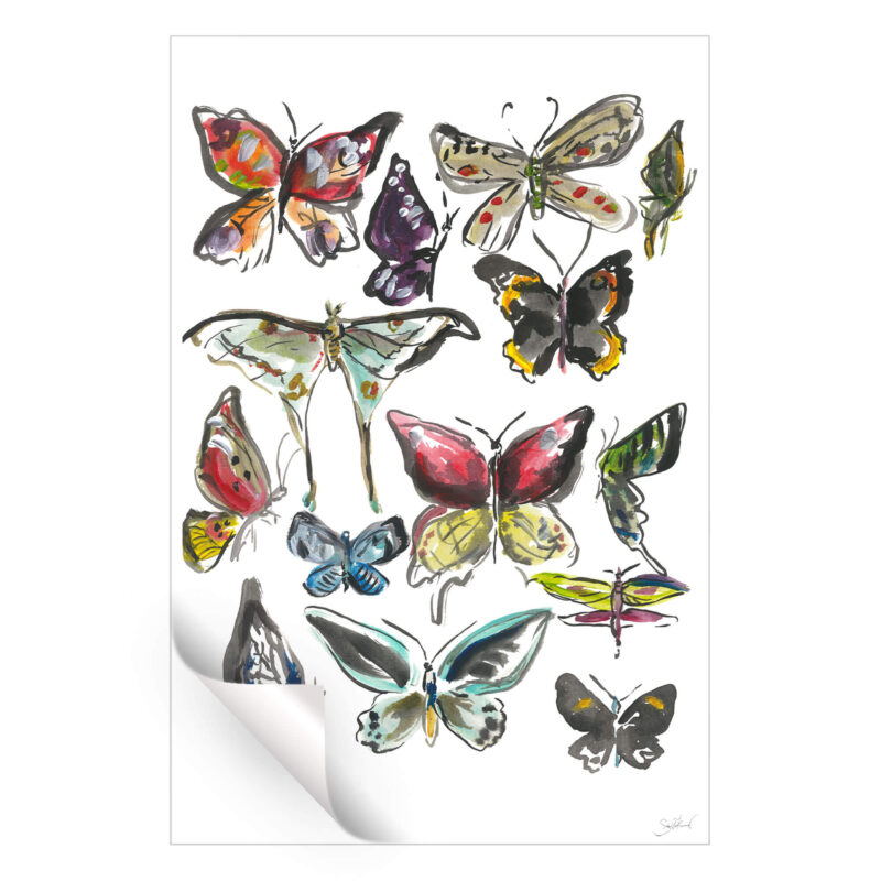 Butterfly Watercolor Wall Art by Shelby Kregel